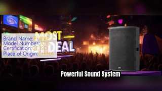 15 Inch 600w PA Speaker Sound System Africa