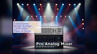 Pro Analog Mixer 14 Channel Live Sound