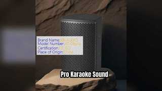 100w Karaoke Speaker Pro Sound