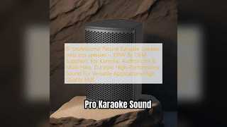100W Karaoke Speaker: Pro Sound