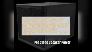 Dual 15 Inch Pro Stage Speaker Powerful Sound