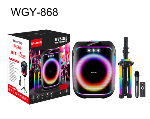 60W Portable Party Speaker with LED Lighting and Bluetooth Connectivity for Unforgettable Party Sound Experience