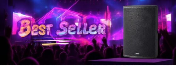 Power Clarity Impact 15-Inch 600w Pa Speaker For Halls Churches & Auditoriums – High-Performance Sound System For Africa