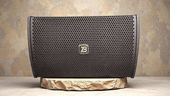 AT-08pro 8-Inch Professional Passive Loudspeaker | 250W–500W High-Output Audio Solution For Commercial AV Installations, Corporate Environments & Live Sound Reinforcement.Professional Audio Speakers.